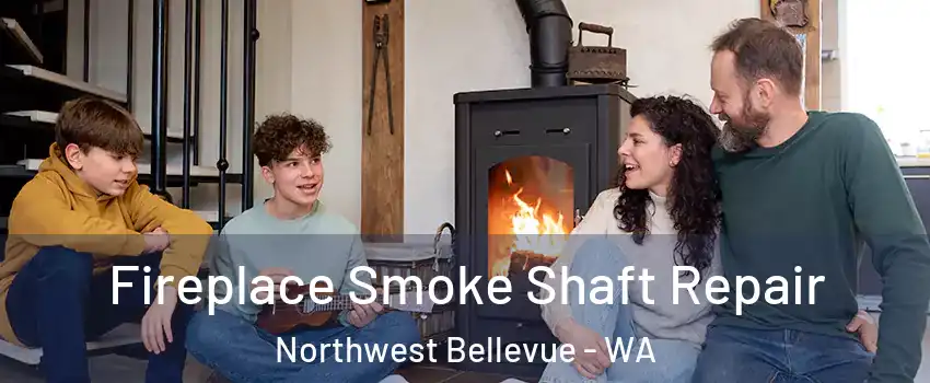 Fireplace Smoke Shaft Repair Northwest Bellevue - WA