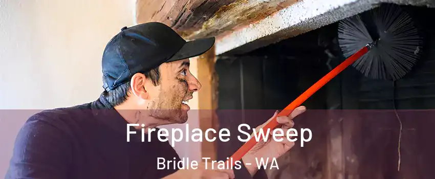 Fireplace Sweep Bridle Trails - WA