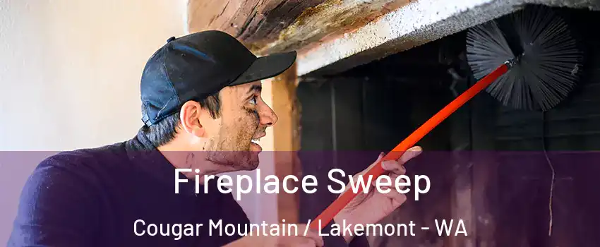 Fireplace Sweep Cougar Mountain / Lakemont - WA