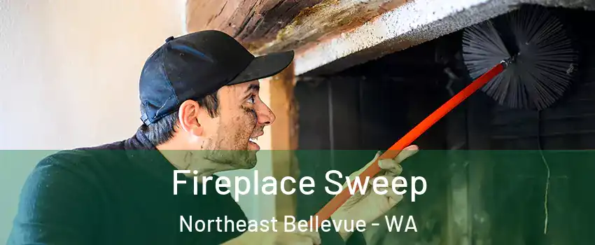 Fireplace Sweep Northeast Bellevue - WA