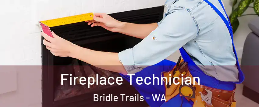 Fireplace Technician Bridle Trails - WA