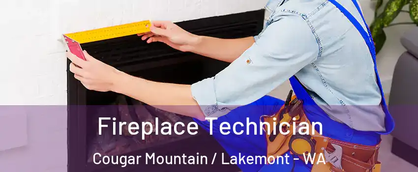 Fireplace Technician Cougar Mountain / Lakemont - WA