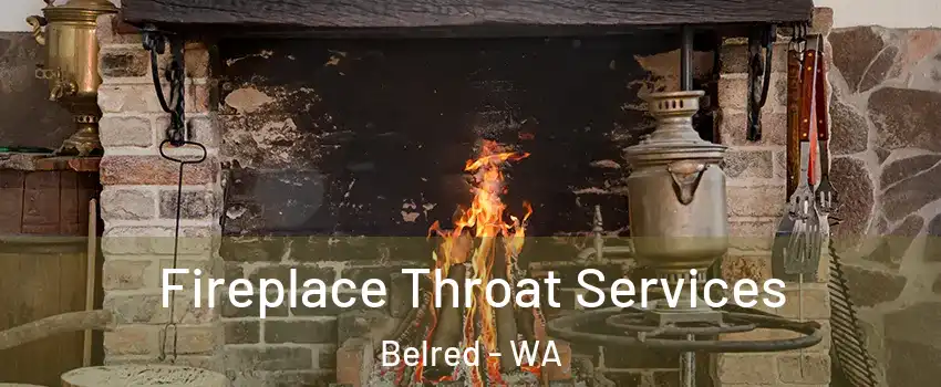 Fireplace Throat Services Belred - WA