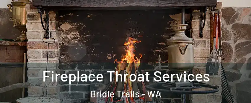 Fireplace Throat Services Bridle Trails - WA