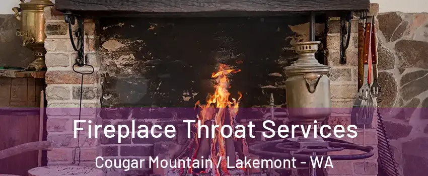 Fireplace Throat Services Cougar Mountain / Lakemont - WA