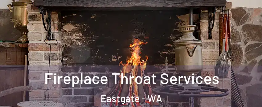 Fireplace Throat Services Eastgate - WA