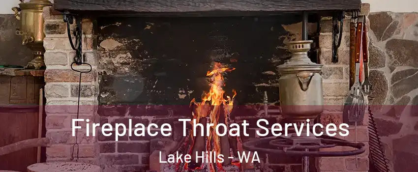 Fireplace Throat Services Lake Hills - WA