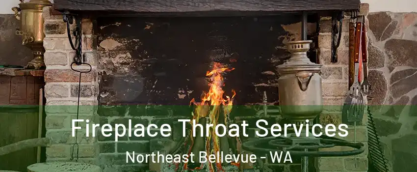 Fireplace Throat Services Northeast Bellevue - WA