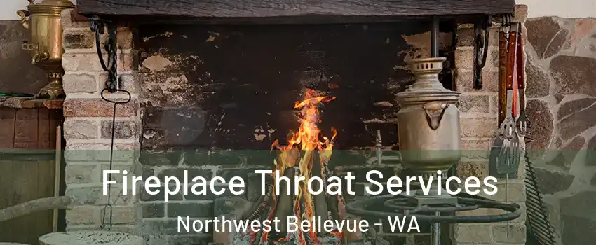 Fireplace Throat Services Northwest Bellevue - WA