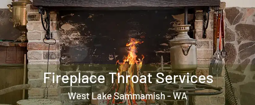 Fireplace Throat Services West Lake Sammamish - WA