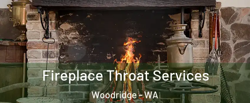 Fireplace Throat Services Woodridge - WA