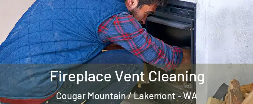 Fireplace Vent Cleaning Cougar Mountain / Lakemont - WA