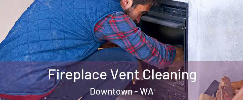 Fireplace Vent Cleaning Downtown - WA