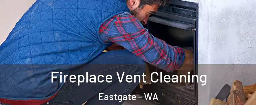 Fireplace Vent Cleaning Eastgate - WA