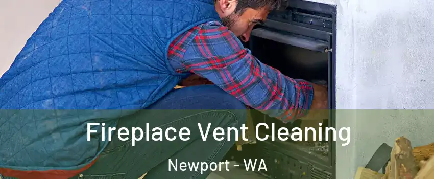 Fireplace Vent Cleaning Newport - WA