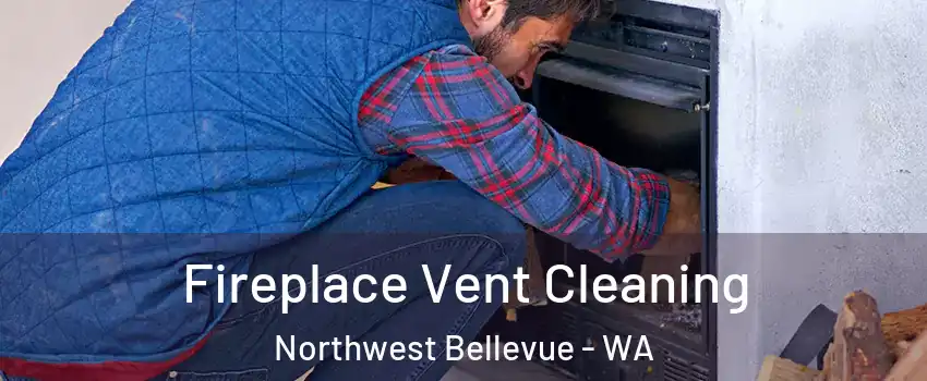 Fireplace Vent Cleaning Northwest Bellevue - WA