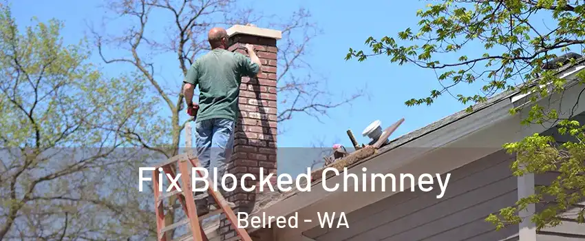 Fix Blocked Chimney Belred - WA