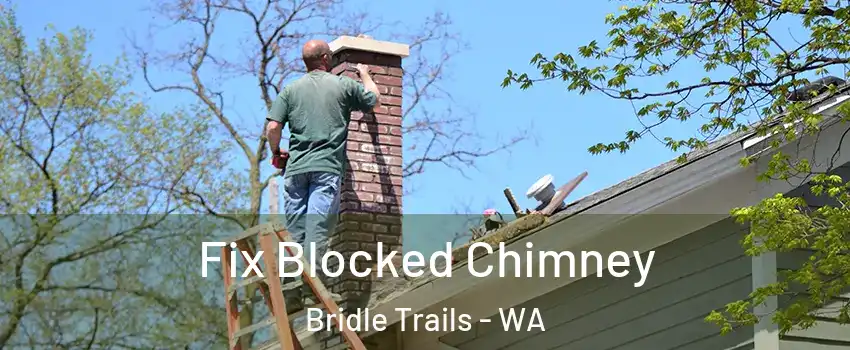 Fix Blocked Chimney Bridle Trails - WA