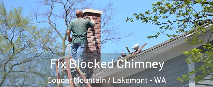 Fix Blocked Chimney Cougar Mountain / Lakemont - WA