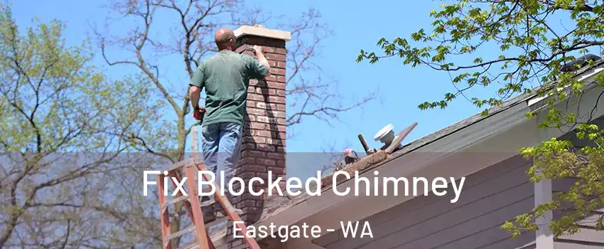 Fix Blocked Chimney Eastgate - WA