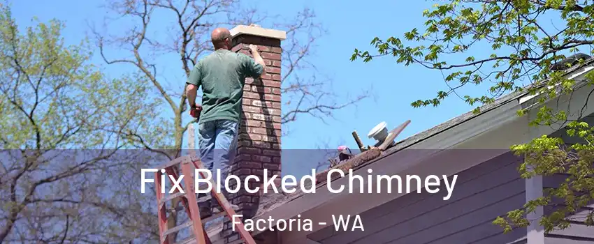 Fix Blocked Chimney Factoria - WA