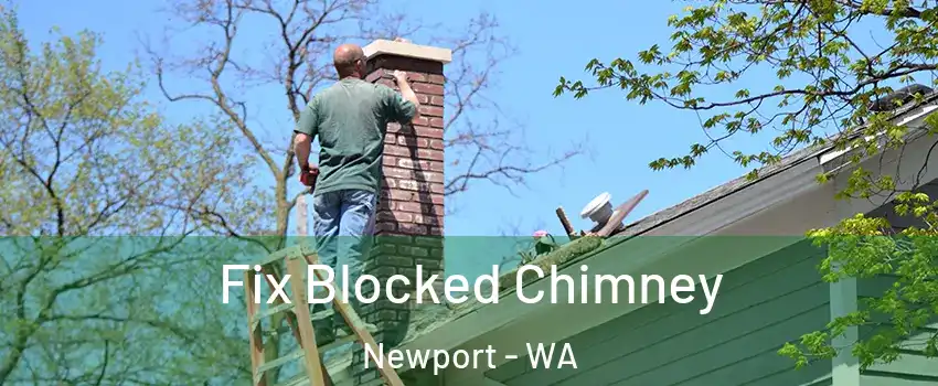 Fix Blocked Chimney Newport - WA