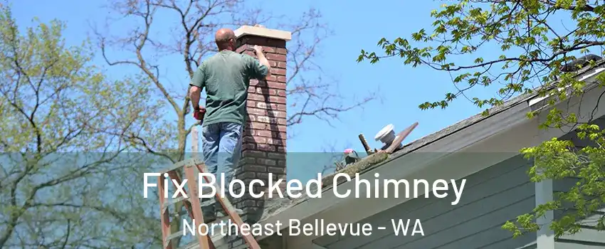 Fix Blocked Chimney Northeast Bellevue - WA