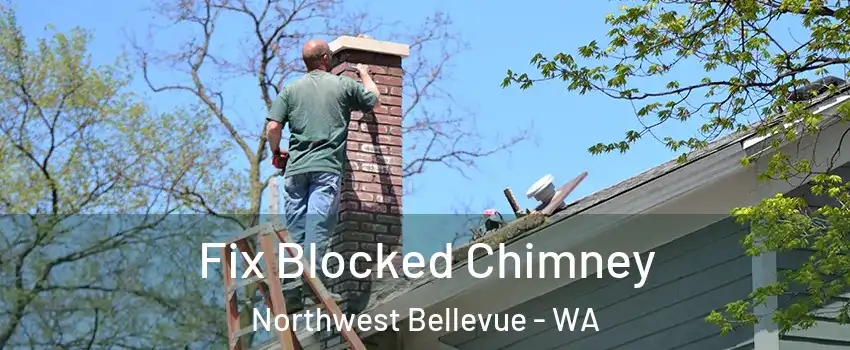 Fix Blocked Chimney Northwest Bellevue - WA