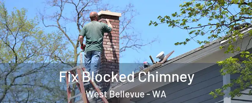 Fix Blocked Chimney West Bellevue - WA