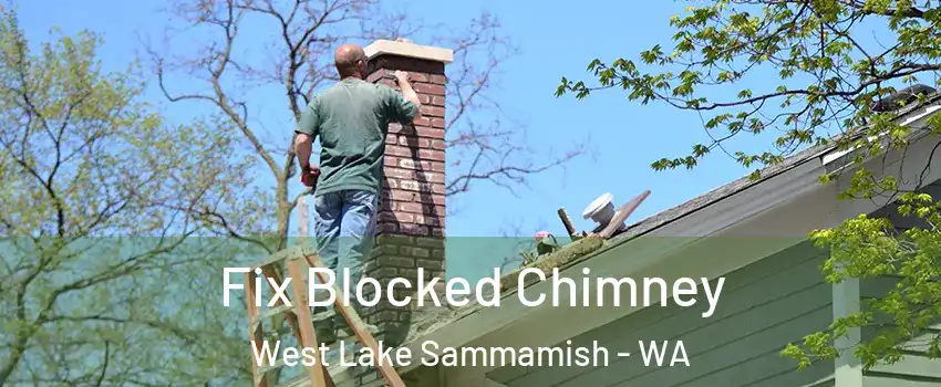 Fix Blocked Chimney West Lake Sammamish - WA