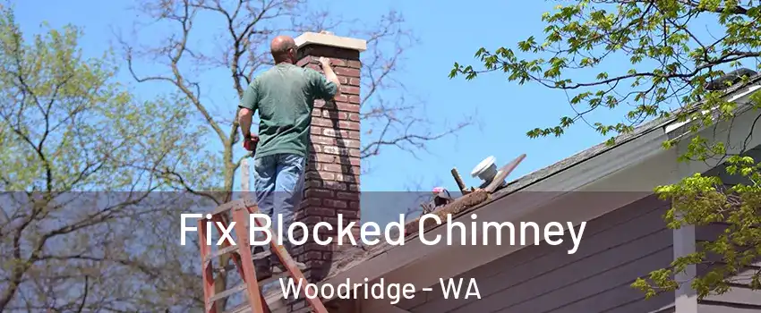 Fix Blocked Chimney Woodridge - WA