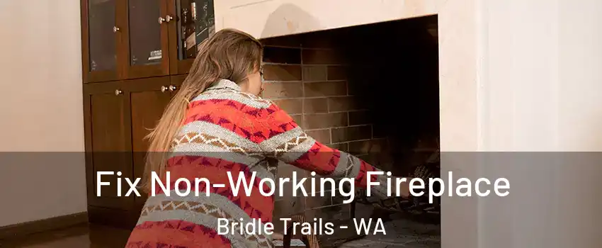 Fix Non-Working Fireplace Bridle Trails - WA