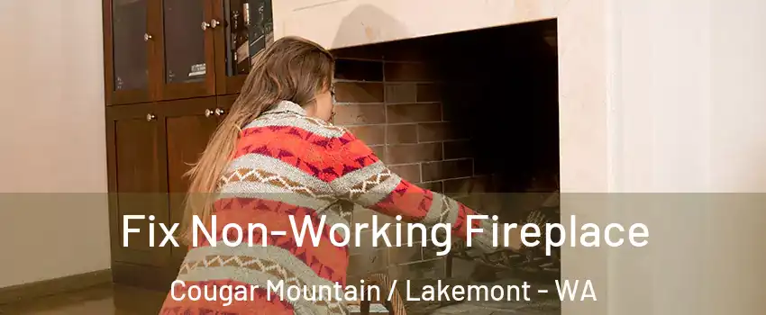 Fix Non-Working Fireplace Cougar Mountain / Lakemont - WA