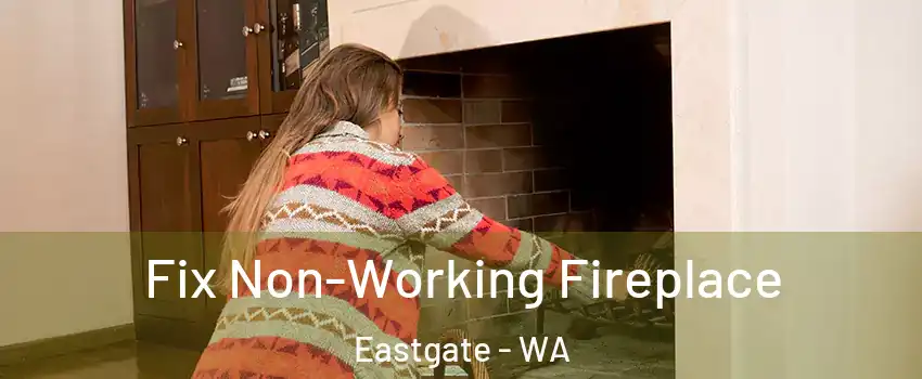 Fix Non-Working Fireplace Eastgate - WA