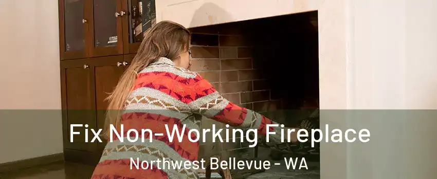 Fix Non-Working Fireplace Northwest Bellevue - WA