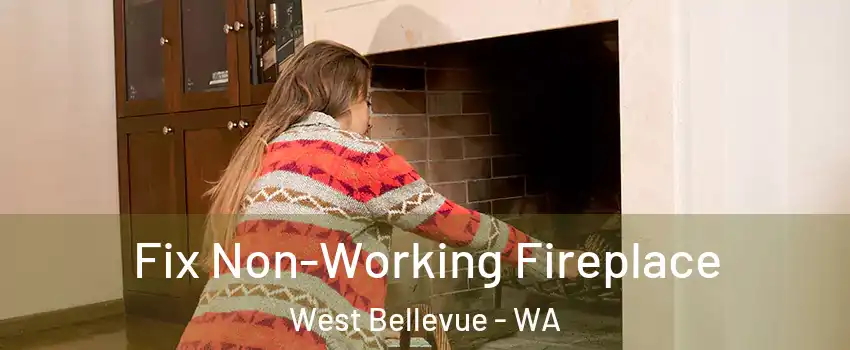 Fix Non-Working Fireplace West Bellevue - WA