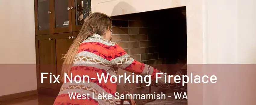 Fix Non-Working Fireplace West Lake Sammamish - WA