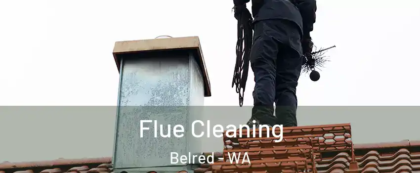 Flue Cleaning Belred - WA