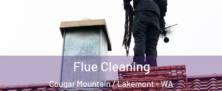 Flue Cleaning Cougar Mountain / Lakemont - WA