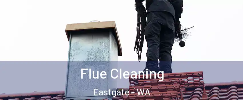 Flue Cleaning Eastgate - WA