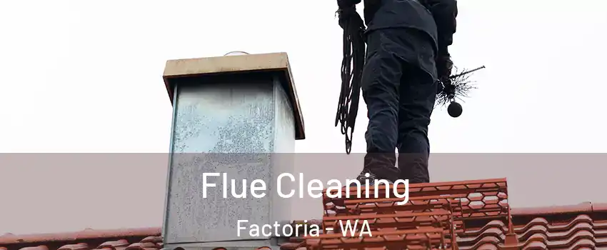 Flue Cleaning Factoria - WA