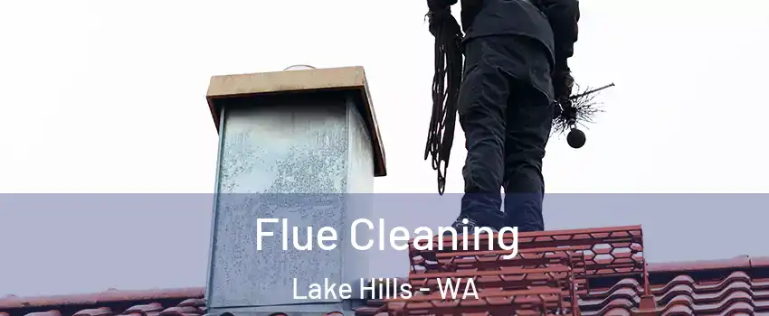 Flue Cleaning Lake Hills - WA