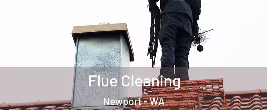 Flue Cleaning Newport - WA