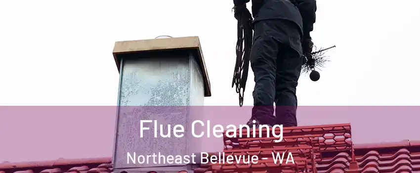 Flue Cleaning Northeast Bellevue - WA