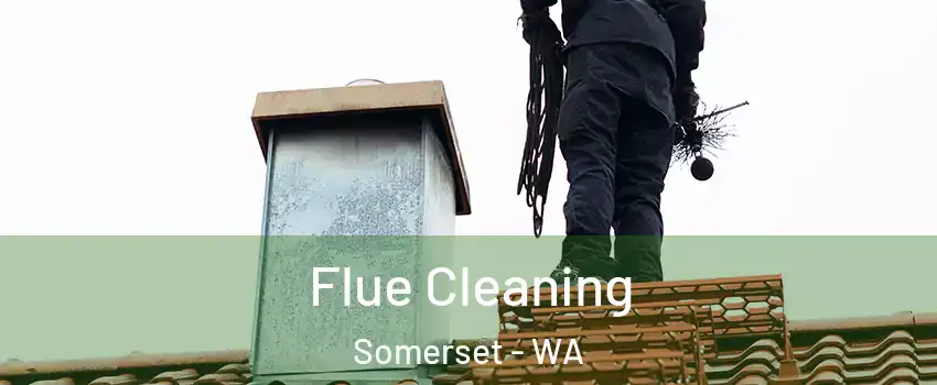 Flue Cleaning Somerset - WA