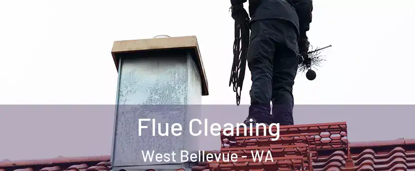 Flue Cleaning West Bellevue - WA