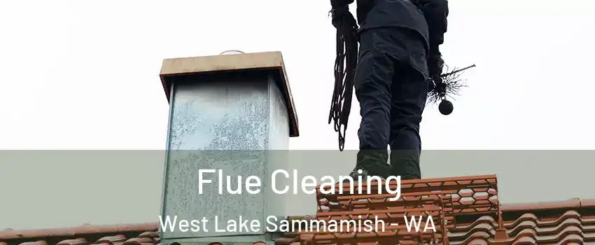 Flue Cleaning West Lake Sammamish - WA