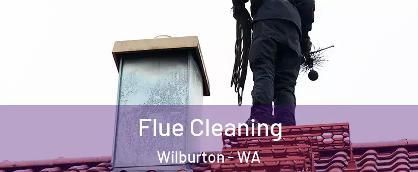 Flue Cleaning Wilburton - WA