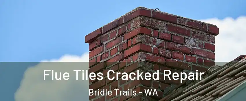 Flue Tiles Cracked Repair Bridle Trails - WA