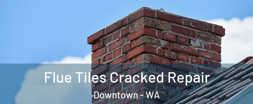 Flue Tiles Cracked Repair Downtown - WA